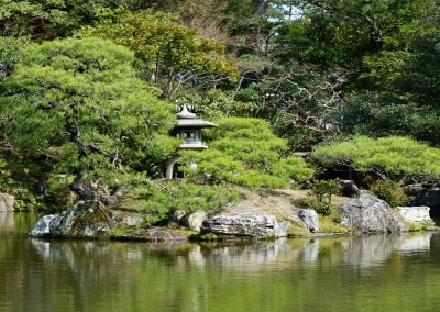 Une île de verdure au milieu d'un lac tranquille.