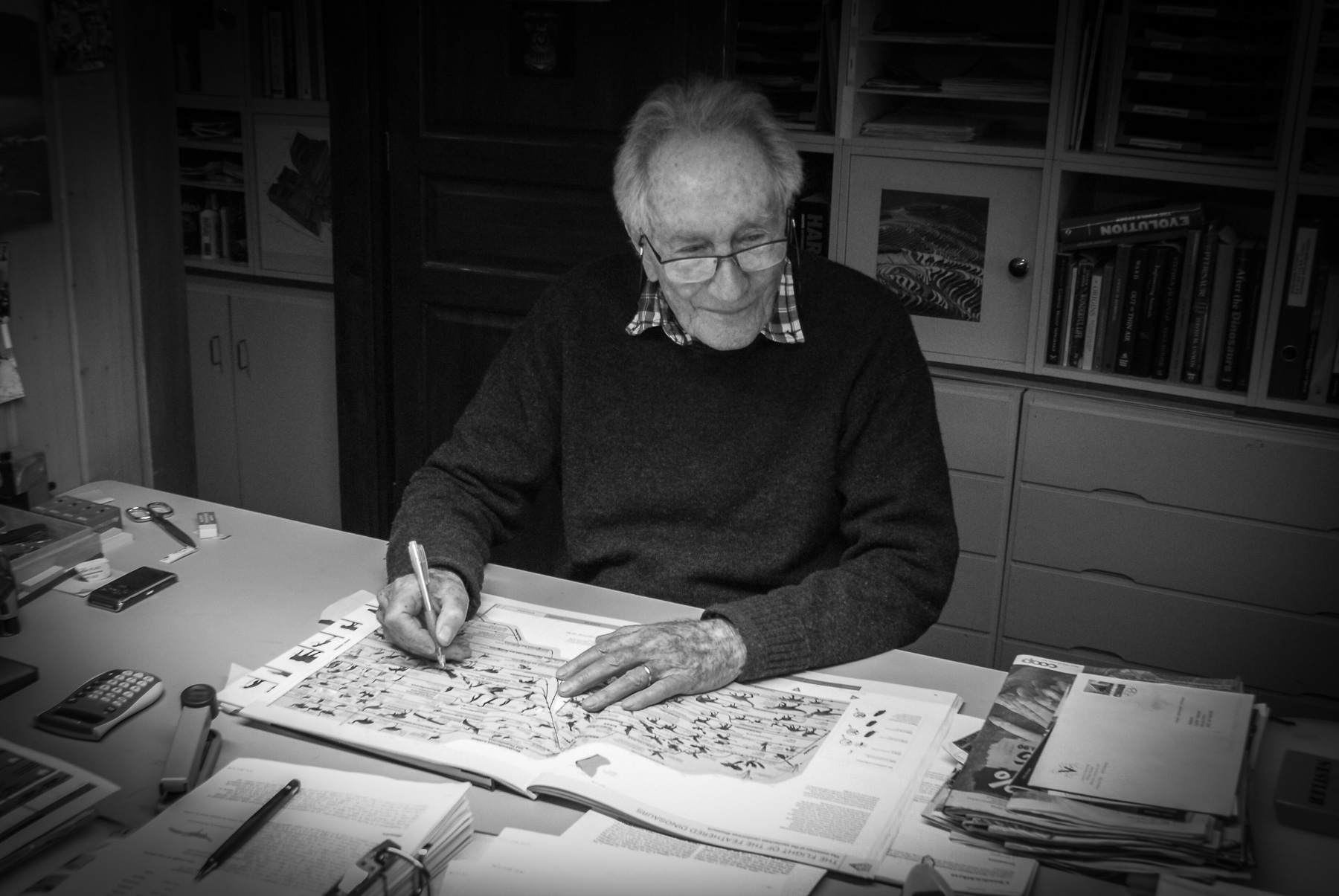 Arthur Escher, gÃ©ologue