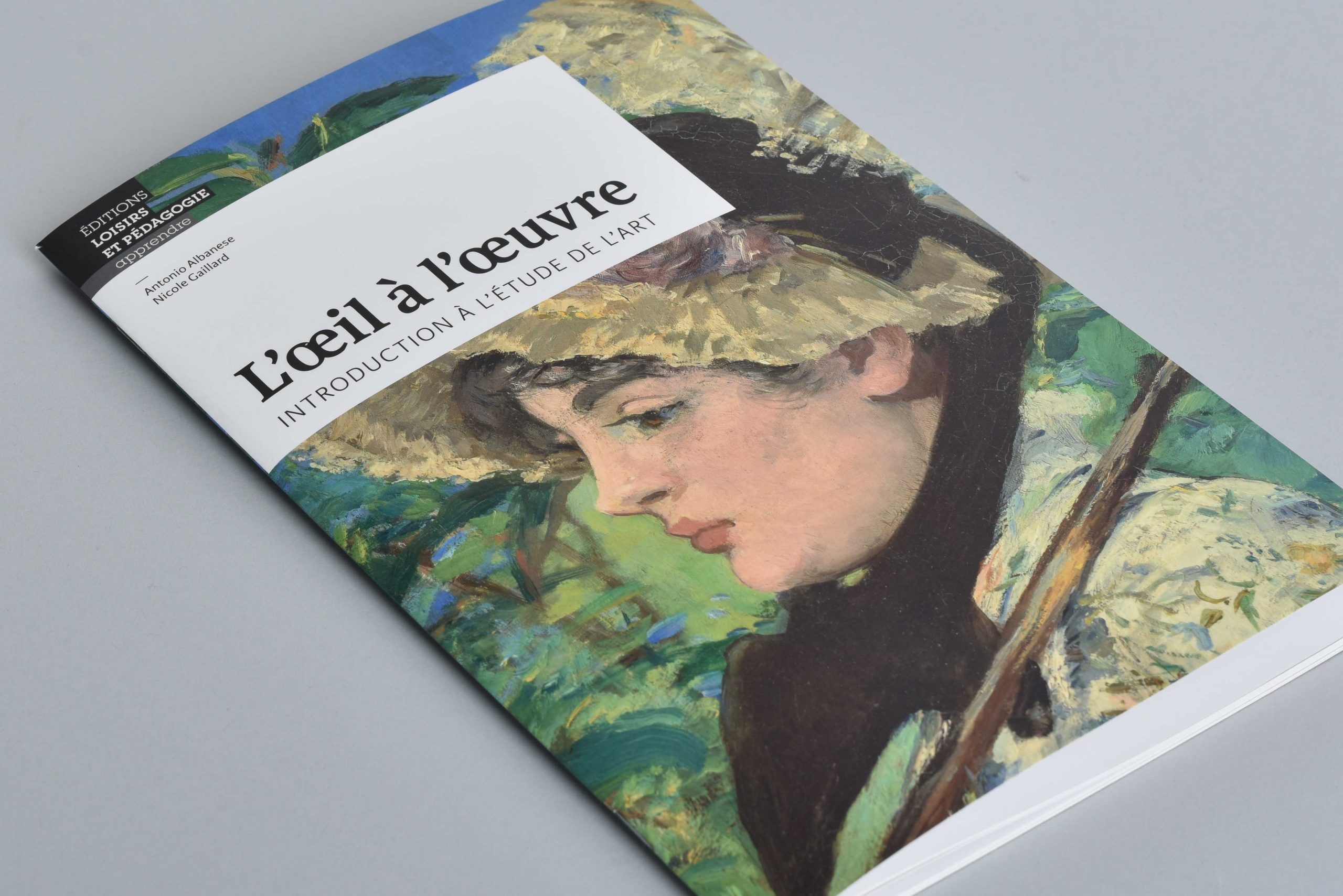 Â«Lâ€™Å“il Ã  lâ€™Å“uvre: introduction Ã  lâ€™Ã©tude de lâ€™artÂ», de Nicole Gaillard et Antonio Albanese
