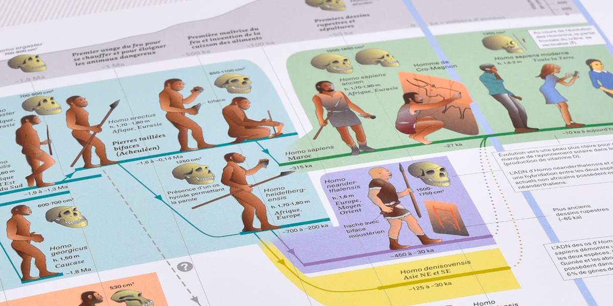 Planche de l'Â«Atlas des vertÃ©brÃ©sÂ» sur la tribu des Hominini