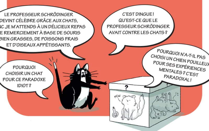 QuÃ©saco: quâ€™est-ce que le paradoxe du Â«chat zombieÂ» de SchrÃ¶dinger?