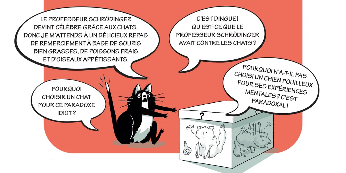 Illustration sur le chat de SchrÃ¶dinger de Claudia Flandoli